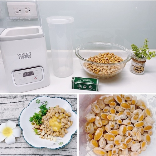 簡單自製納豆/健康養生納豆，使用芳蓉優格機在家也能輕鬆做！